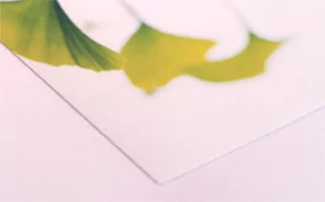 papier photographique