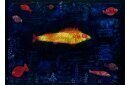 Le poisson rouge