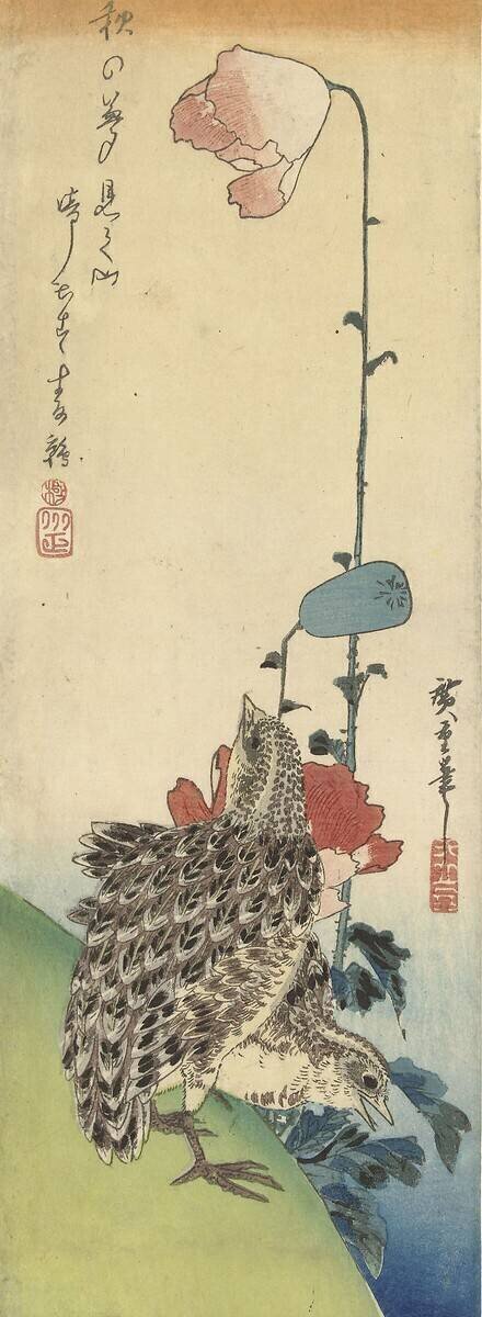 Cailles et coquelicots Hiroshige