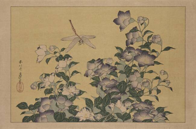 Campanule et libellule Hokusai