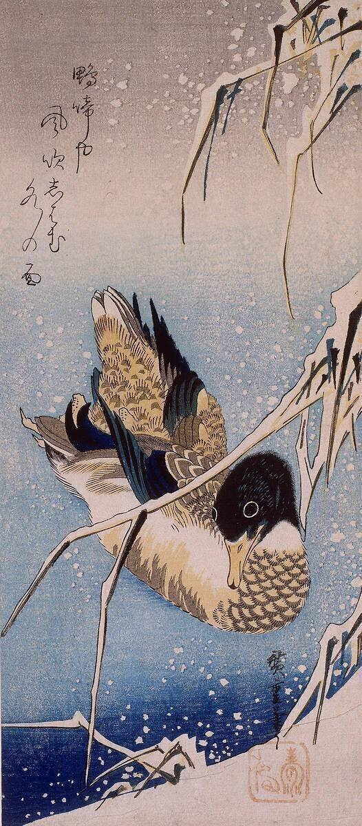 Canard et roseaux sous la neige Hiroshige