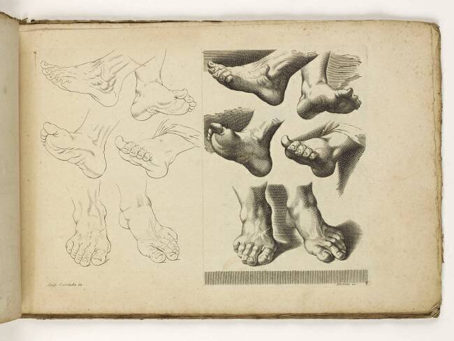 Carnet de 30 gravures. Etude de pieds Famille des Poilly