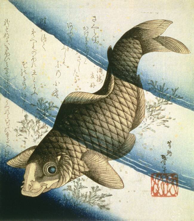 Carpe nageant contre le courant Katsushika Taito II