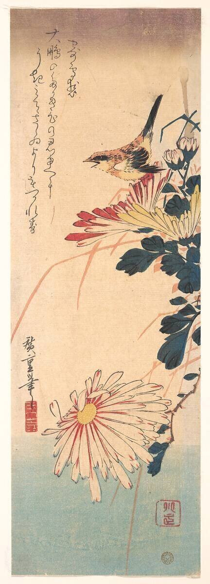 Chrysanthèmes et Laniidés Hiroshige