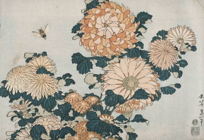 Chrysanthèmes et taon Hokusai
