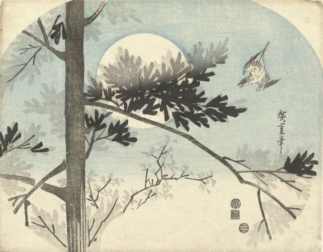Coucou et pin Hiroshige