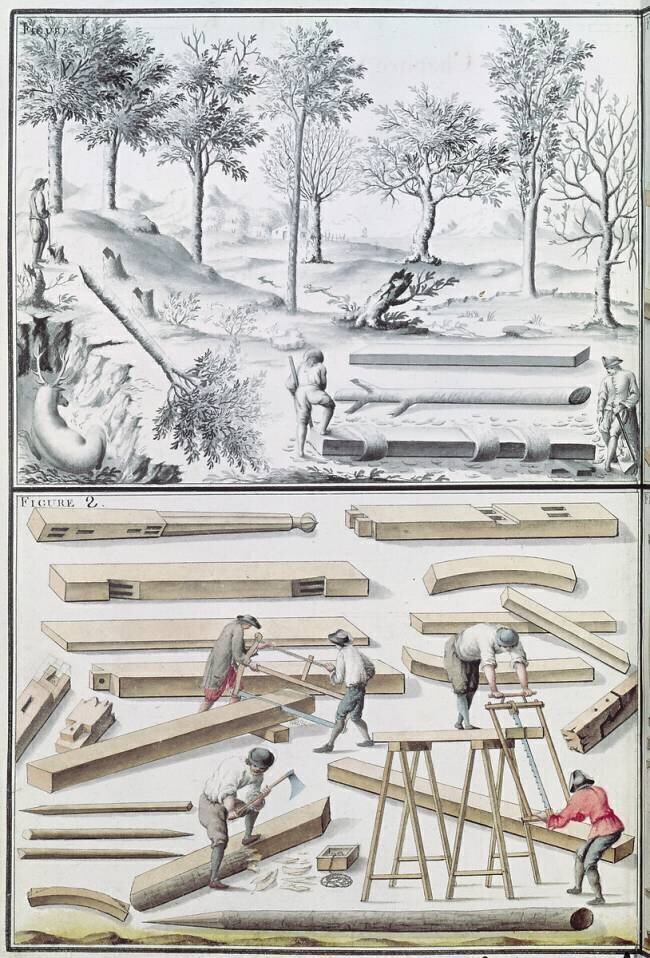 Different species of tree and sawing logs, from "Traite de Fortifications" Claude Masse