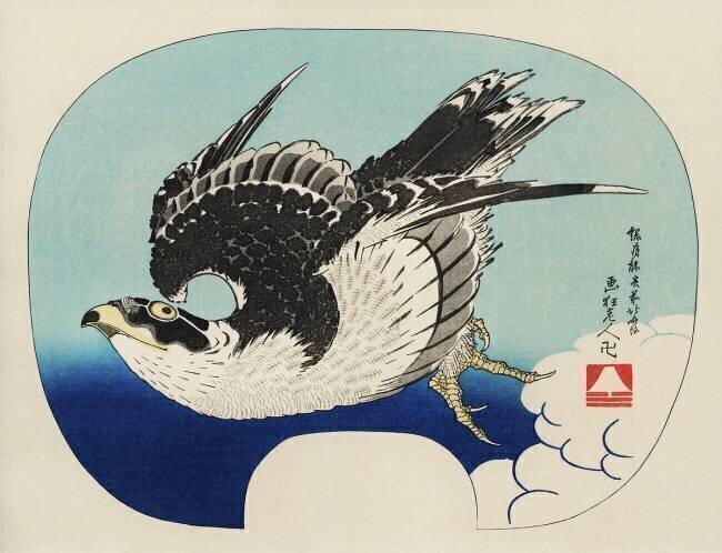 Hawk Hokusai