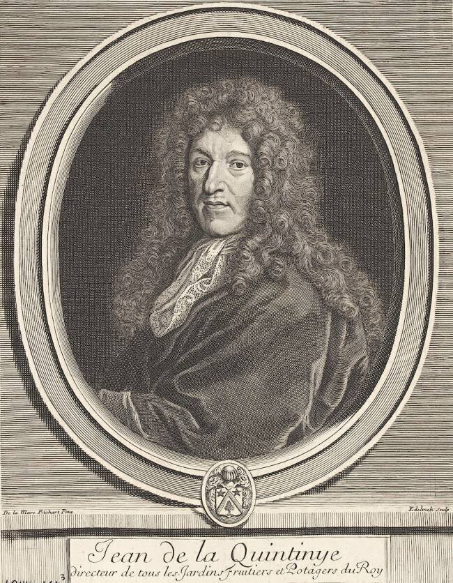 Jean de La Quintinie (Quintynie), intendant des jardins fruitiers et potagers du Roi (mort en 1700) Gérard Edelinck