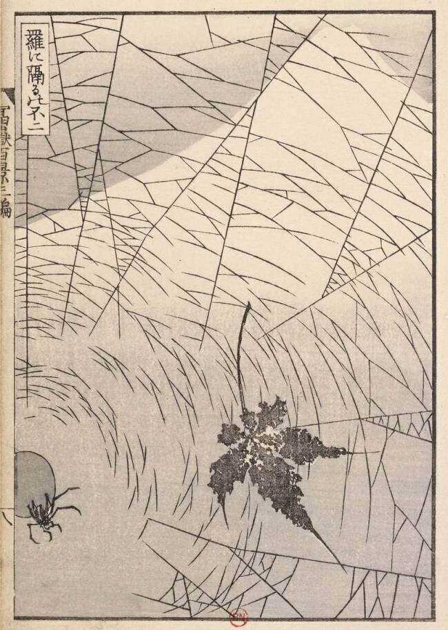 Le Mont Fuji vu à travers une toile d'araignée Hokusai