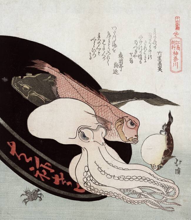 Octopus and Ocean Fish Totoya Hokkei