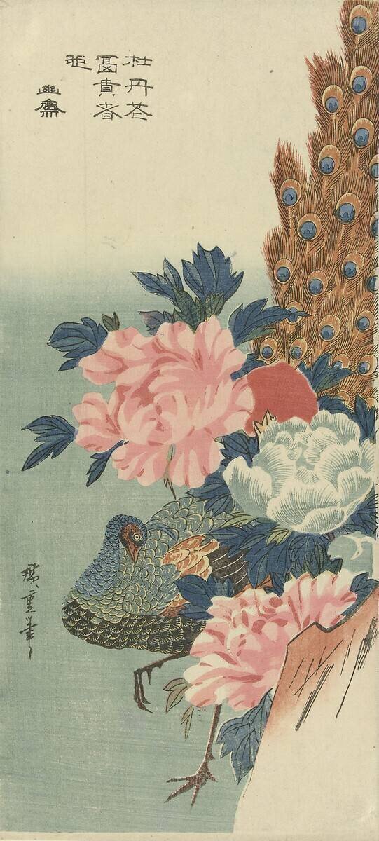 Paon et pivoines Hiroshige