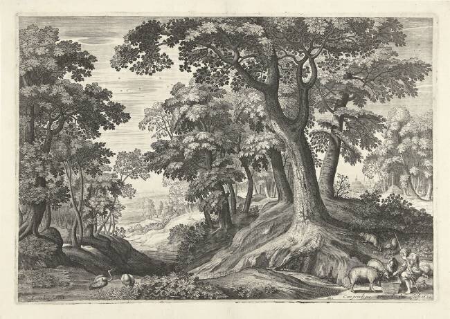 Paysage avec des arbres  Hendrick Hondius I
