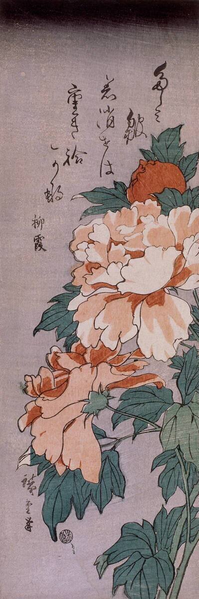 Pivoines Hiroshige