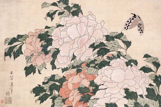 Pivoines roses et rouges soufflées vers la gauche dans une brise et un papillon Hokusai