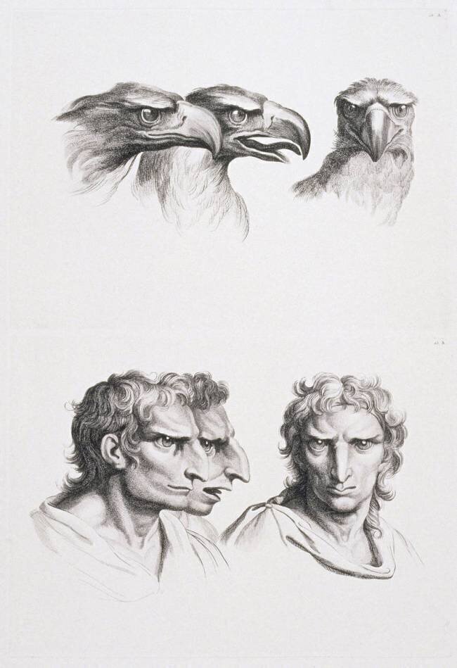Planches 13 a et 13 b : trois têtes d'aigle et trois têtes d'hommes en relation avec l'aigle Charles Le Brun