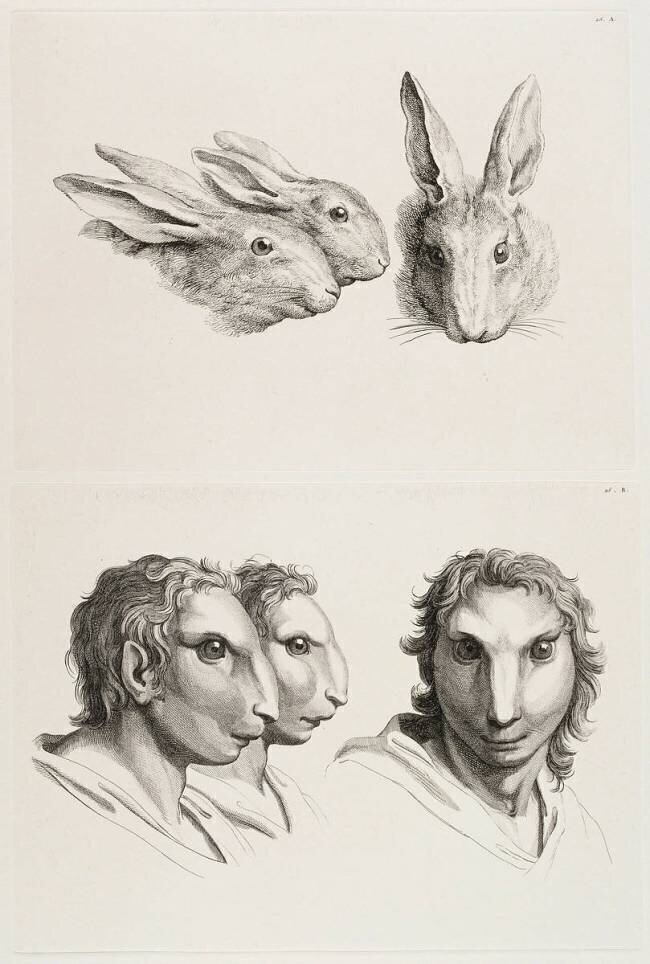 Planches 25 a et 25 b : trois têtes de lièvres et trois têtes d'hommes en relation avec le lièvre Charles Le Brun
