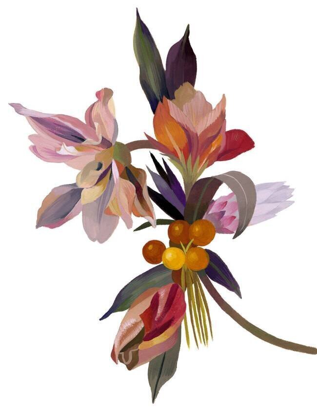 An imaginary flower based on a tulip Hiroyuki Izutsu