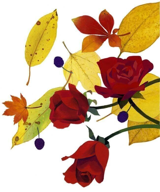 Autumn leaves and rose Hiroyuki Izutsu