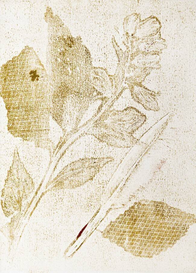 Background Studio Muzéo