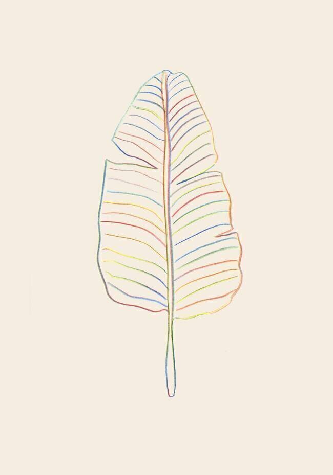 Banana Rainbow Leaf 1x Studio