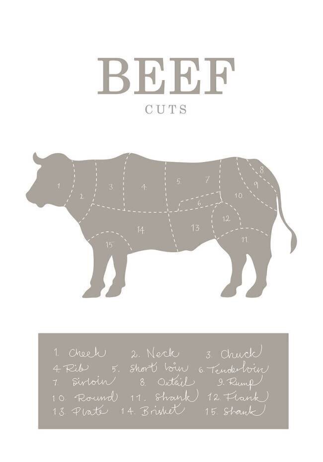 Beef Cuts 1x Studio II