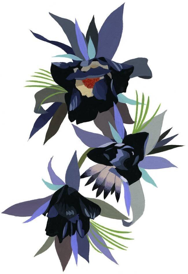 Black imaginary flower Hiroyuki Izutsu