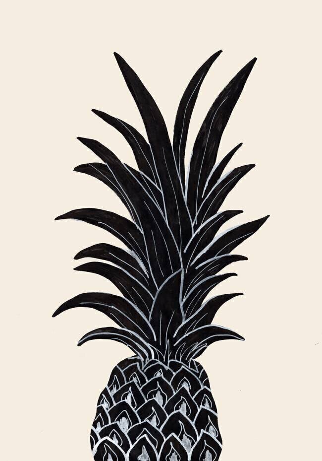 Black Pineapple 1x Studio