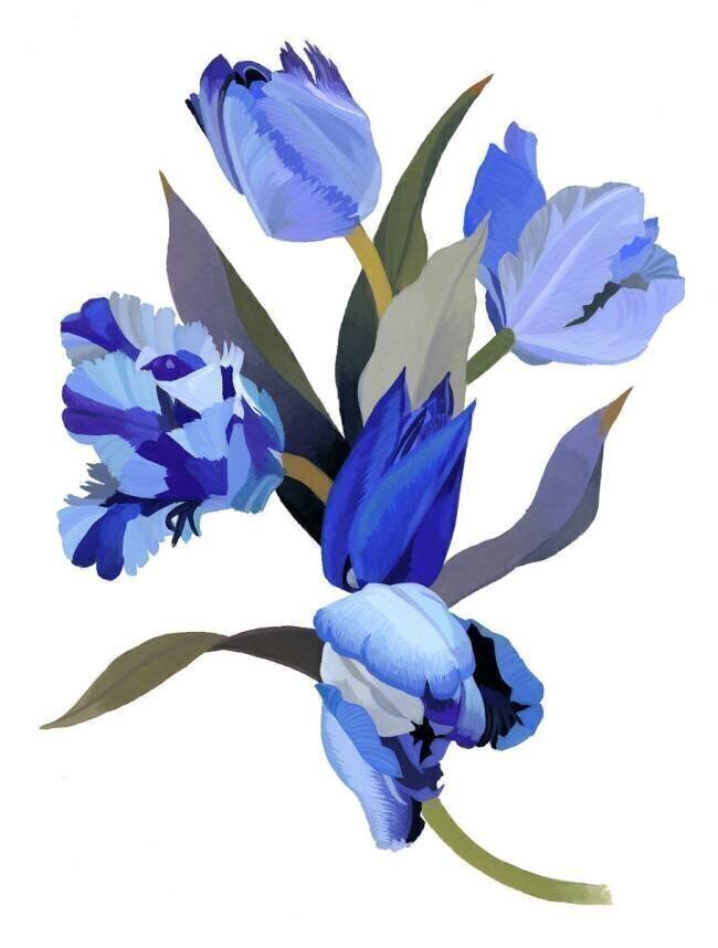 Blue tulip Hiroyuki Izutsu