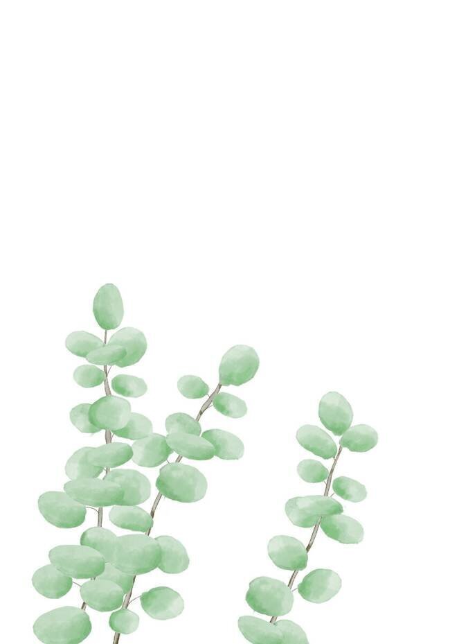Branches 1x Studio