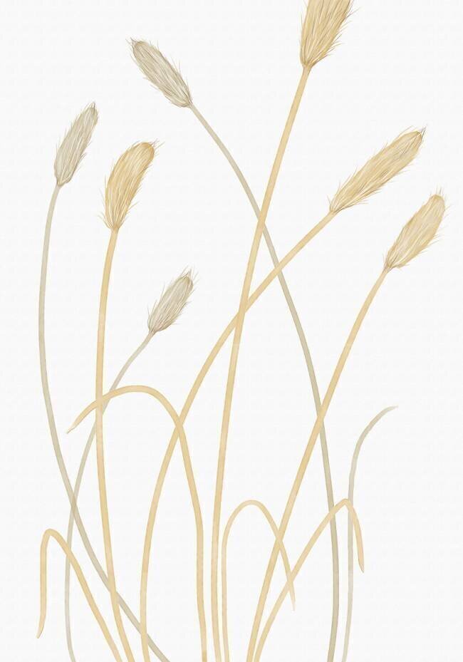 Bunny Grass 01 1x Studio II