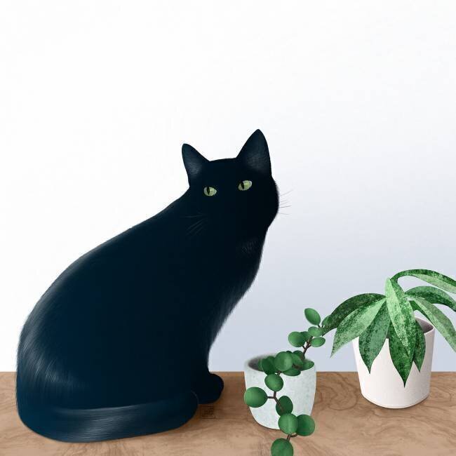 Chat et plantes Léa Chounlamountry