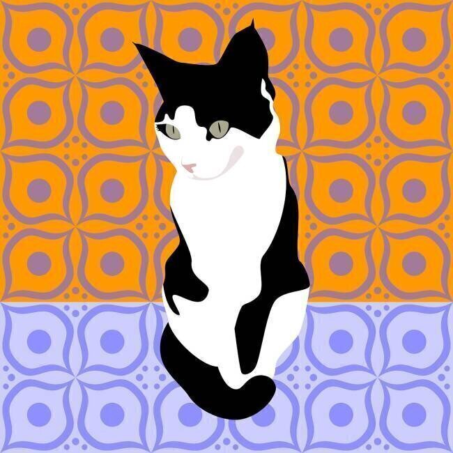 Chat sur les carreaux marocains Claire Huntley