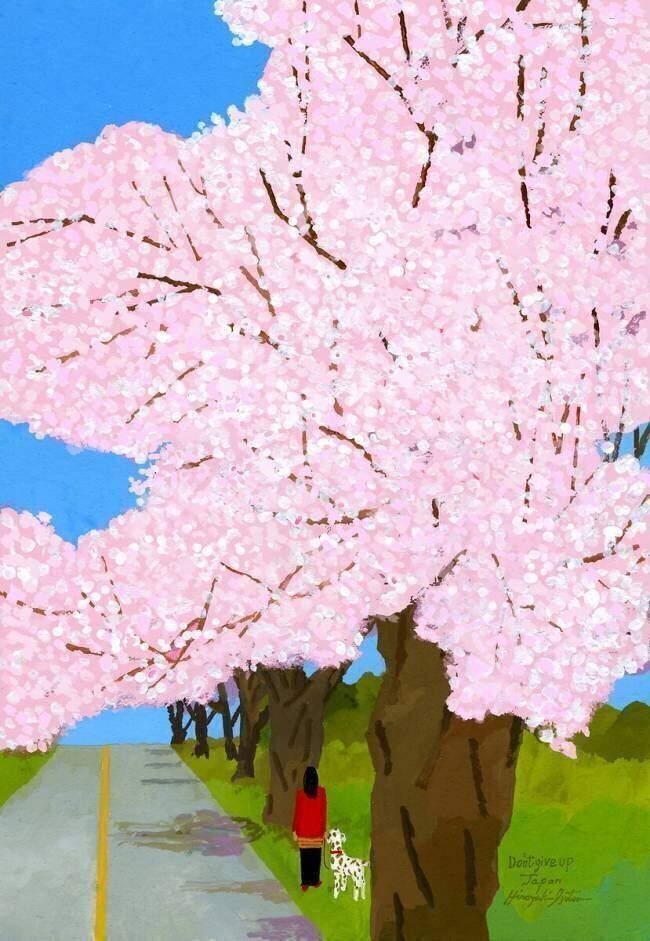 cherry trees Hiroyuki Izutsu