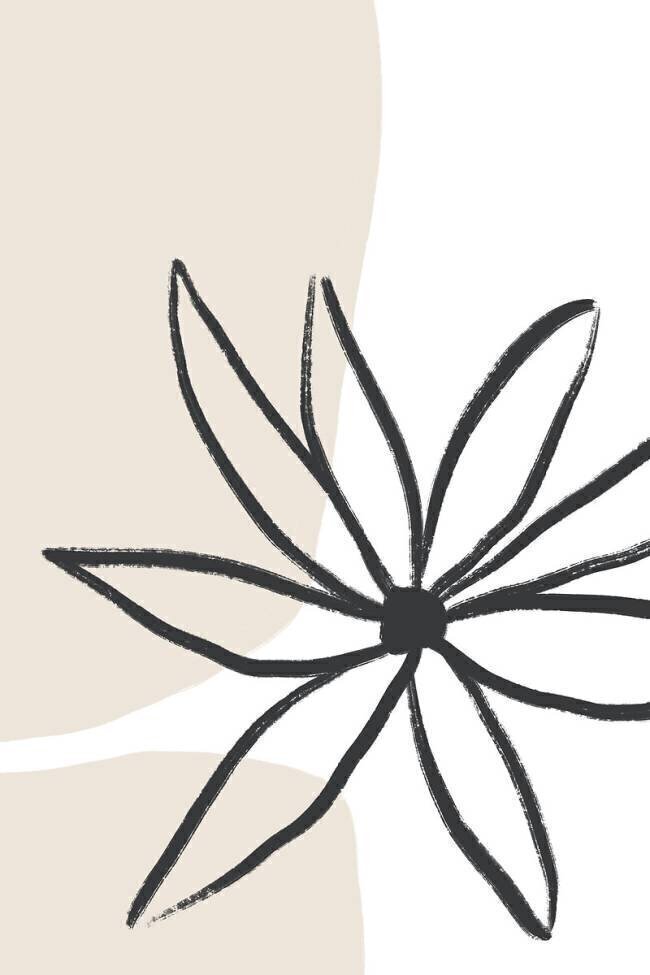 Fleur et crème Anastasia Sawall