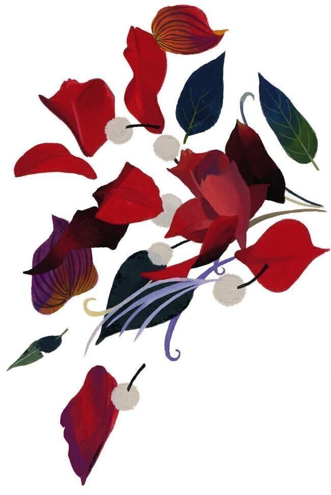 Flowers that image Christmas Hiroyuki Izutsu