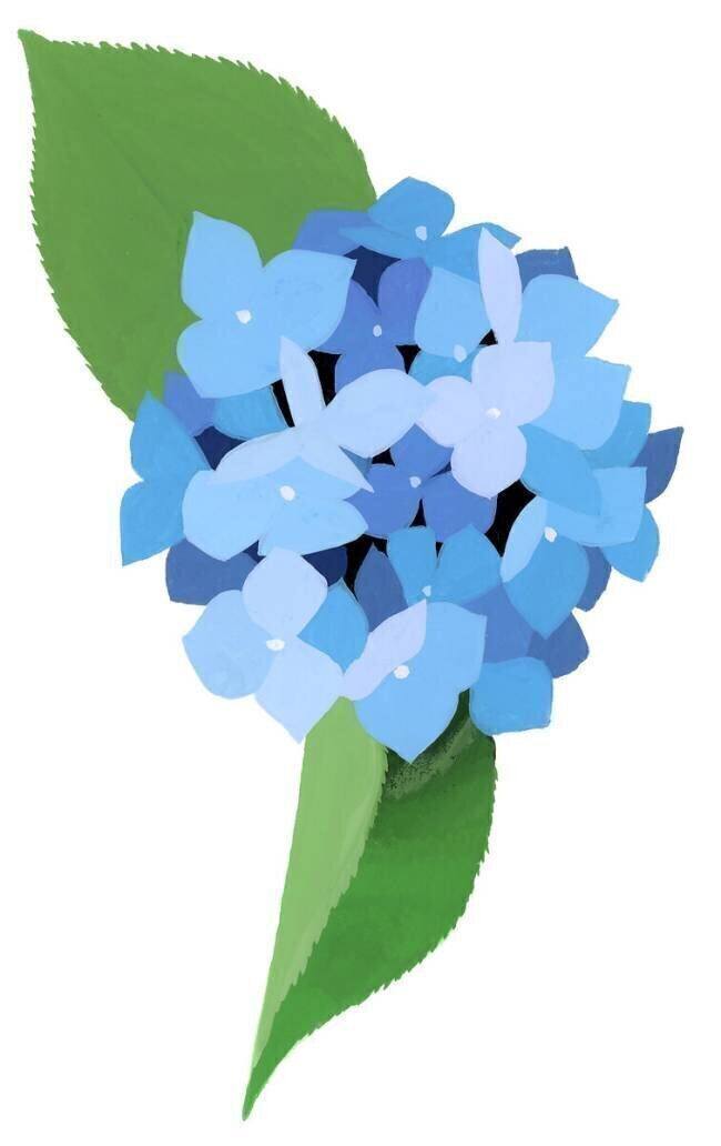 hydrangea Hiroyuki Izutsu