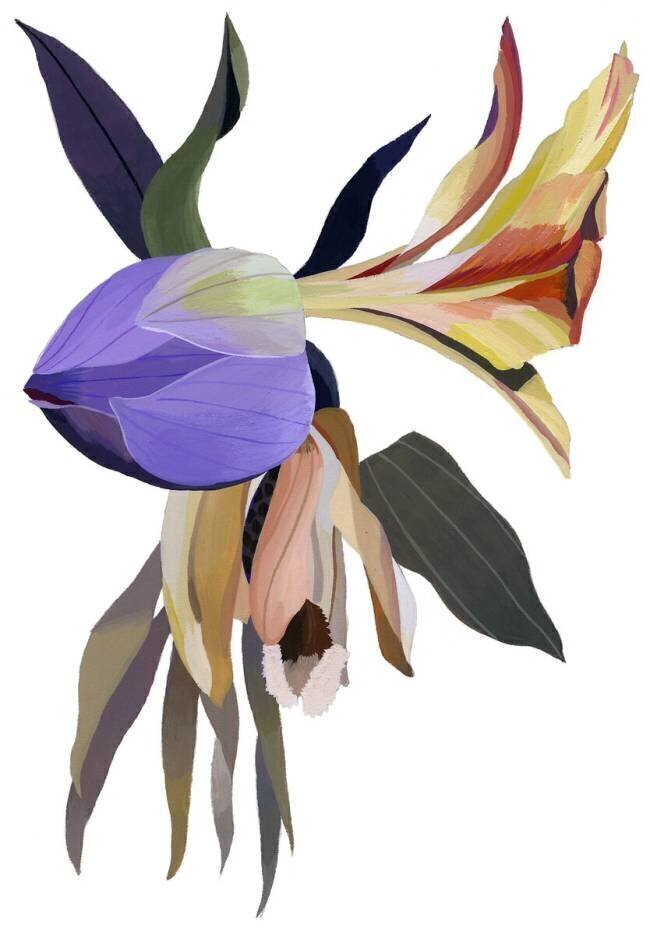 Imaginary flowers Hiroyuki Izutsu