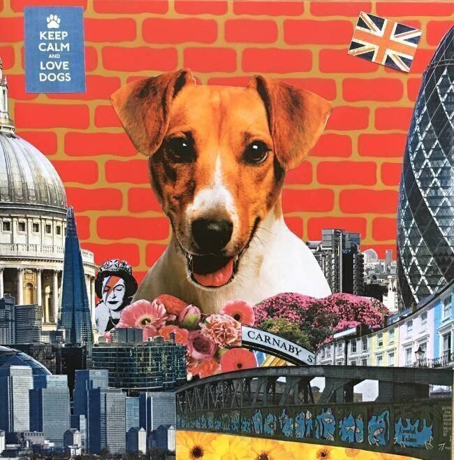 Jack Russel Anne Storno