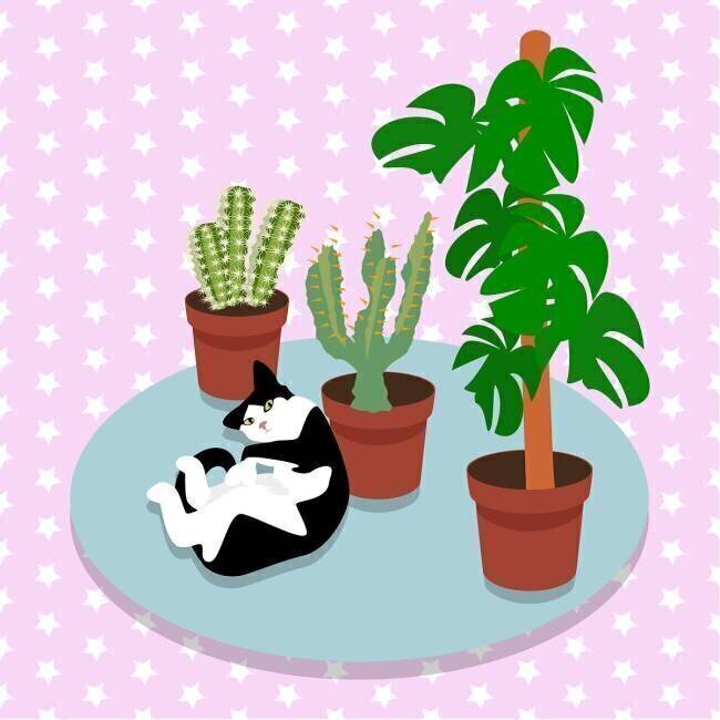 Le chat et les cactus Claire Huntley