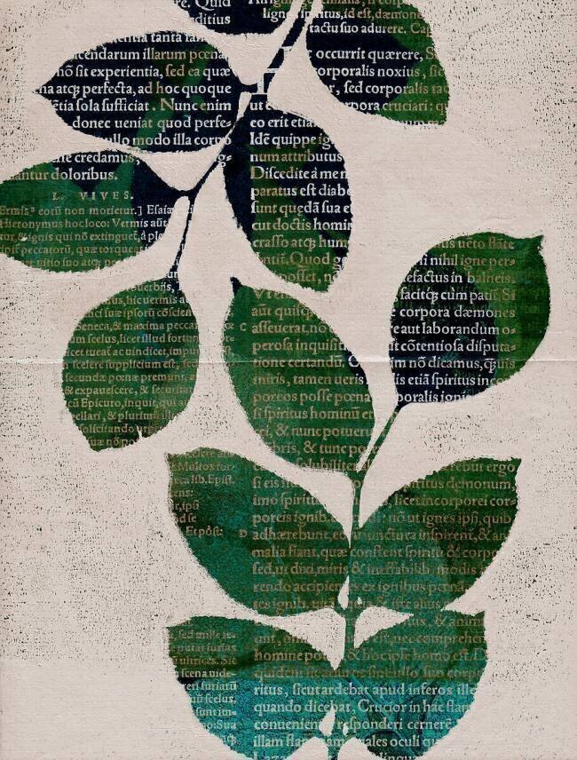 Leaves Marco Campedelli