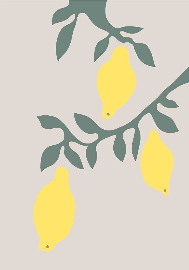 Lemons 1x Studio II