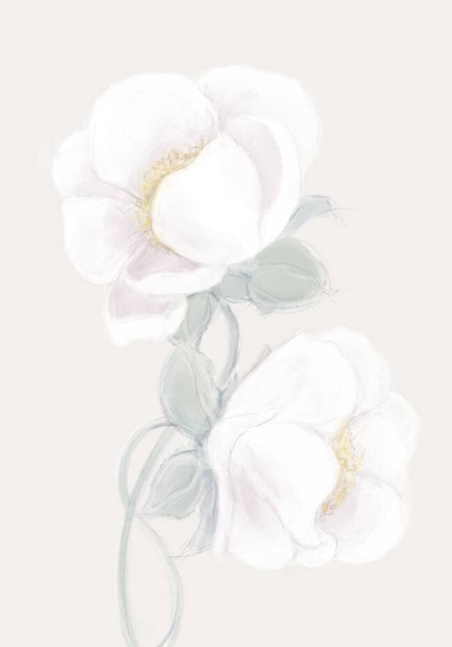 Lush Peony 1x Studio II