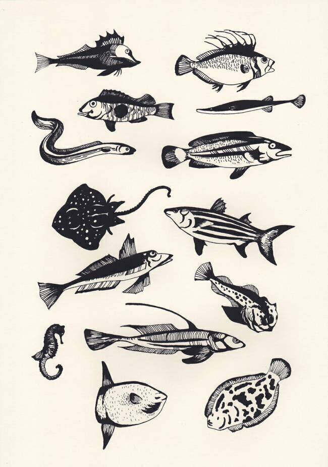 Monotone Plain Fish Eliza Southwood