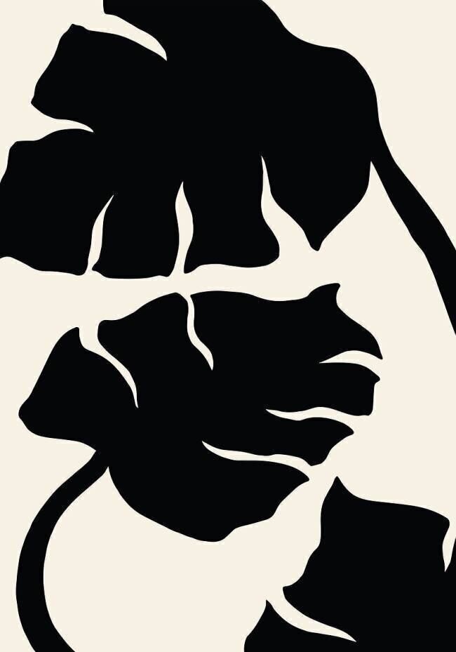 Monstera 1x Studio