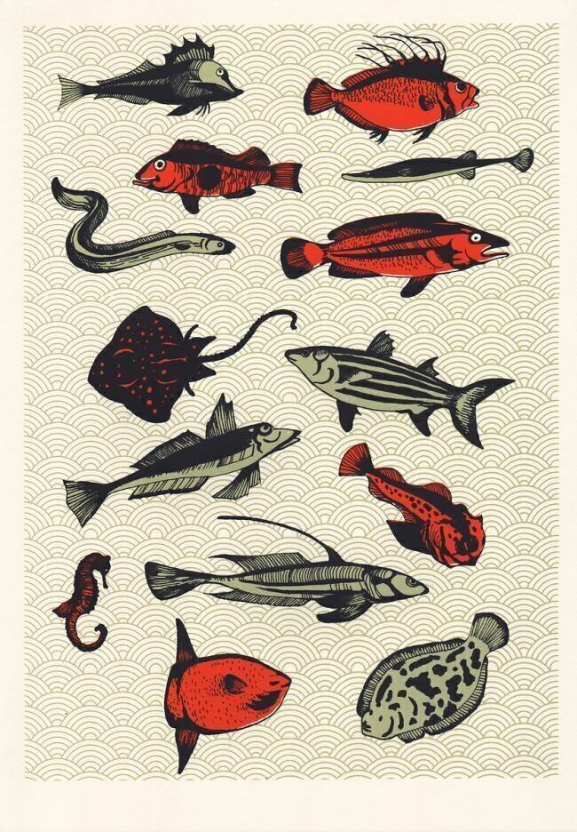 Orange Japanese Fish Eliza Southwood