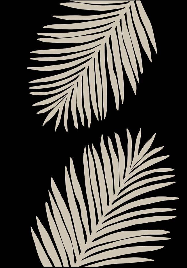 Palm Leaves 1x Studio