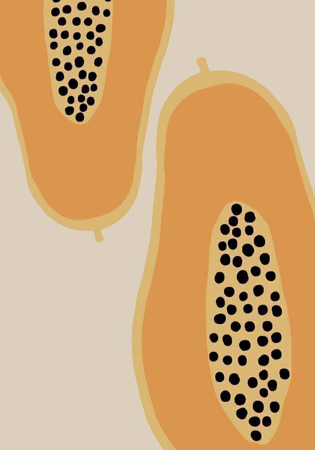Papaya Fruit 1x Studio II