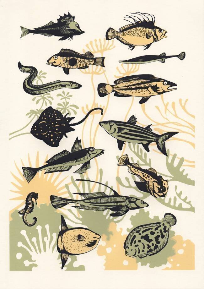 Peach Seaweed Fish Eliza Southwood