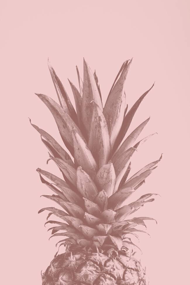 Pinapple Pink 05 1x Studio III